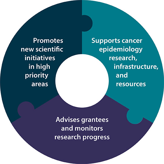 Promotes new scientific initiatives in high priority areas. Supports cancer epidemiology, research, infrastructure, and resources. Advises grantees and monitors research progress.